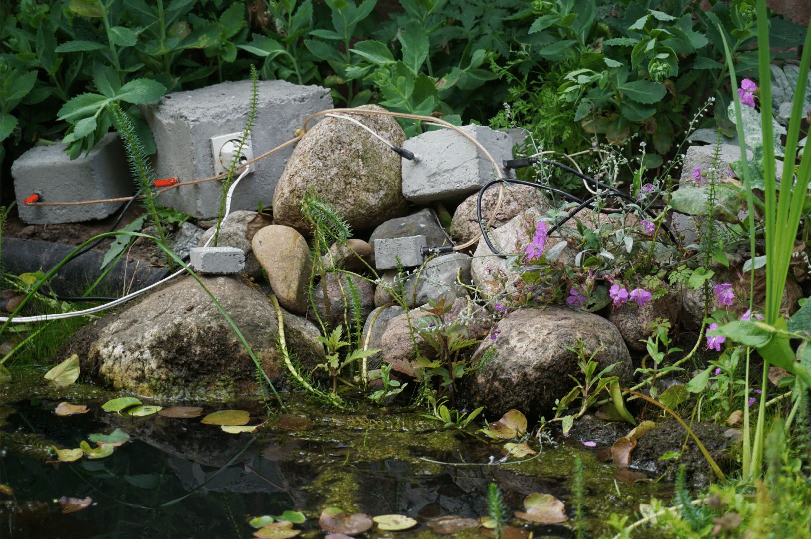 Ontwerp een Plant